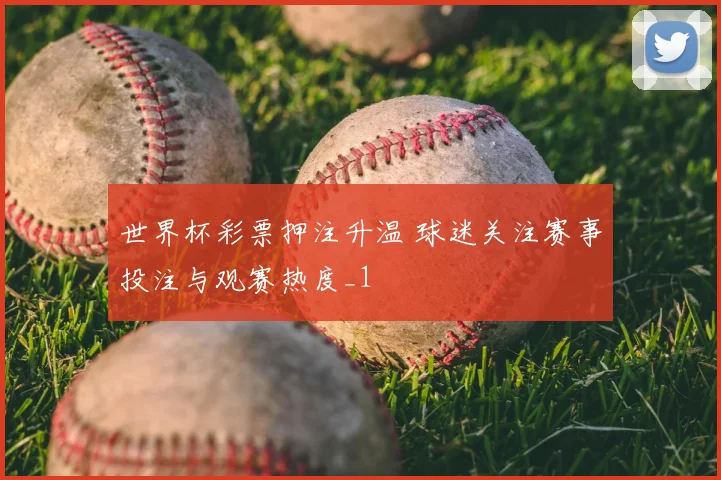世界杯彩票押注升温 球迷关注赛事投注与观赛热度_1
