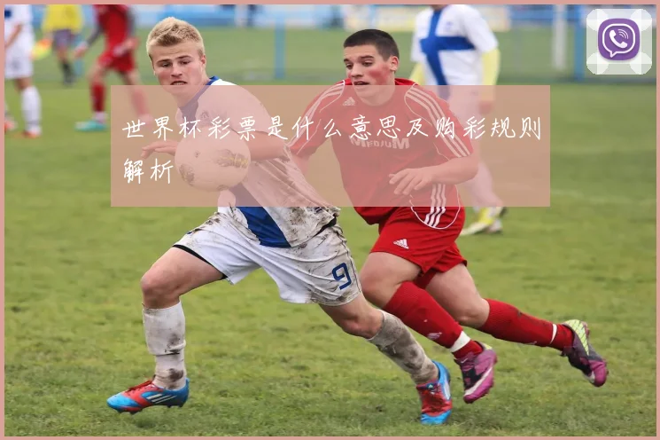世界杯彩票是什么意思及购彩规则解析