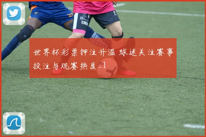 世界杯彩票押注升温 球迷关注赛事投注与观赛热度_1